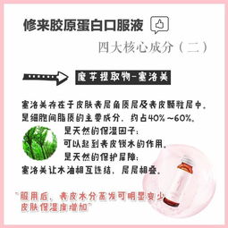 修來(lái)膠原蛋白 產(chǎn)品、實(shí)力與代理機(jī)遇全解析